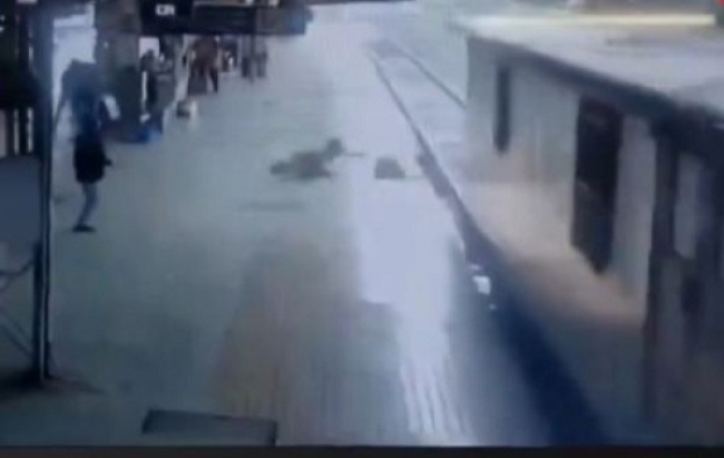 जलगांव रेलवे स्टेशन पर सीसीटीवी में कैद हुई घटना में एक महिला मालगाड़ी के सामने पटरी पार करने की कोशिश कर रही थी। रेलवे अधिकारी ने समय रहते उसे प्लेटफॉर्म पर खींचकर उसकी जान बचाई, जिससे एक बड़ा हादसा टल गया।