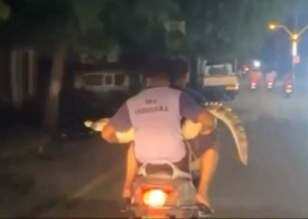 वडोदरा के रिहायशी इलाके में बाढ़ के बाद मगरमच्छों की उपस्थिति दिखाते हुए वायरल वीडियो की स्क्रीनशॉट।