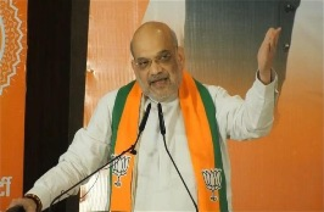 BJP manifesto: केंद्रीय गृह मंत्री अमित शाह ने भारतीय जनता पार्टी का घोषणापत्र जारी करते हुए कहा कि अनुच्छेद 370 इतिहास बन गया