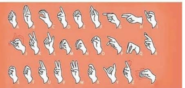 पुलिस ट्रेनिंग