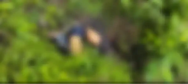 रेलवे ट्रैक के पास युवक की लाश