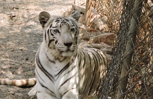 वन विहार