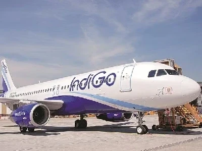 Indigo Flight