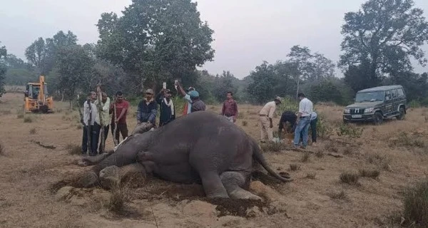 बांधवगढ़ नेशनल पार्क