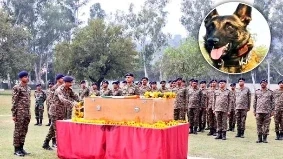 Army sniffer dog Phantom: भारतीय सेना ने यहां अखनूर सेक्टर में आतंकवादियों के साथ मुठभेड़ में मारे गए अपने खोजी डाग फैंटम के शव पर पुष्पचक्र अर्पित किया