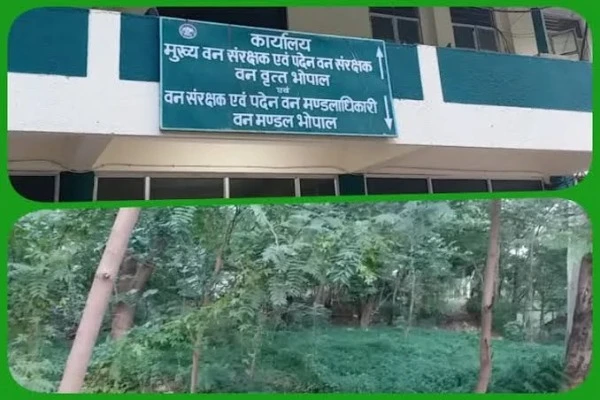 बांधवगढ़  हाथियों