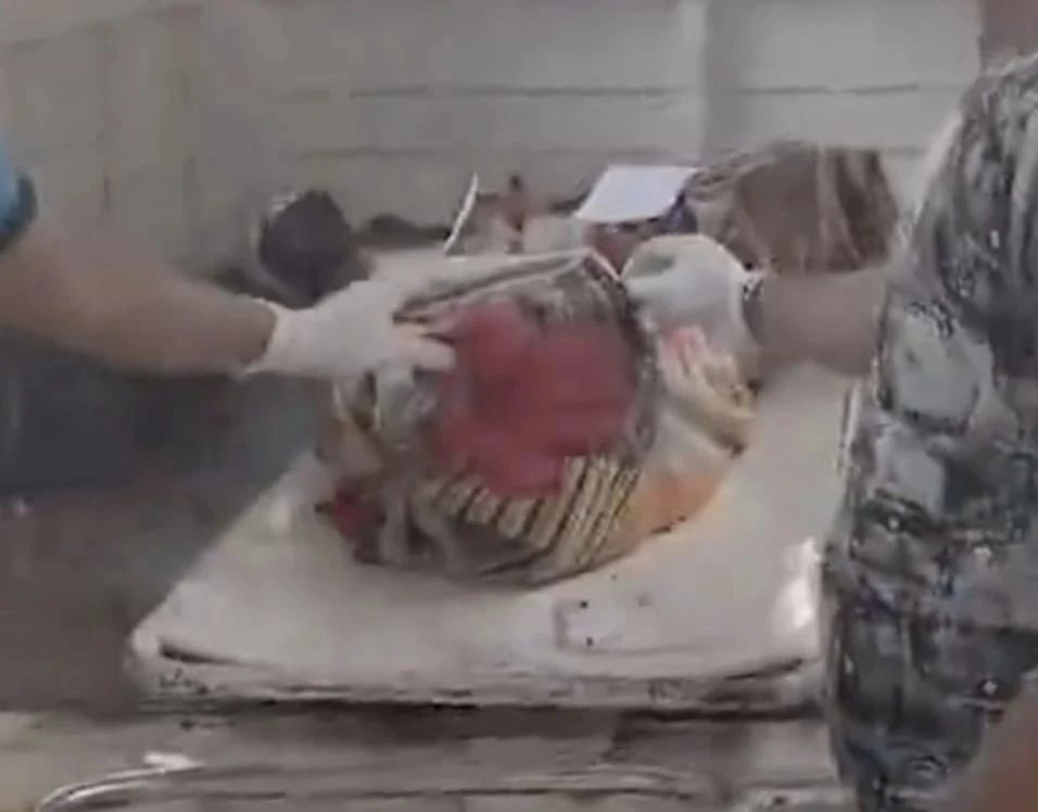 भोपाल आग हादसा, जाटखेड़ी आग दुर्घटना, मिसरोद थाना आग, पति-पत्नी जिंदा जले, भोपाल दिल दहला देने वाली घटना, घर में आग लगने का मामला, भोपाल हादसा खबर, घर जलकर खाक