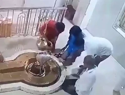 Viral Video