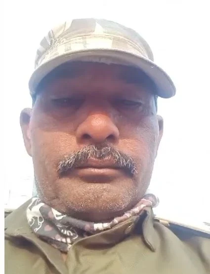 नगर निगम