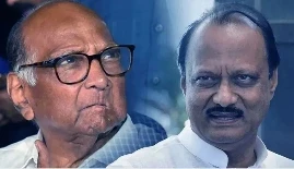 Deputy CM Ajit Pawar: महाराष्ट्र विधानसभा चुनाव में अपनी अगुवाई वाली राष्ट्रवादी कांग्रेस पार्टी (NCP) को शानदार