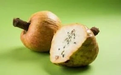 Benefits of Ramphal