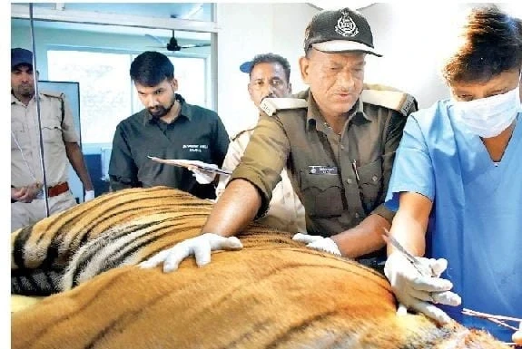 बांधवगढ़