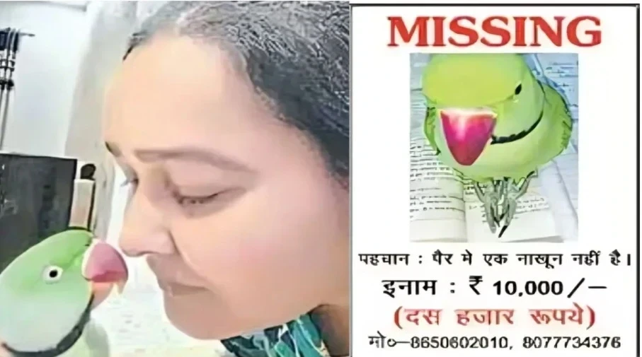 लापता मिट्ठू