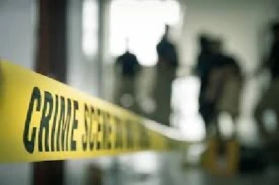 Crime News