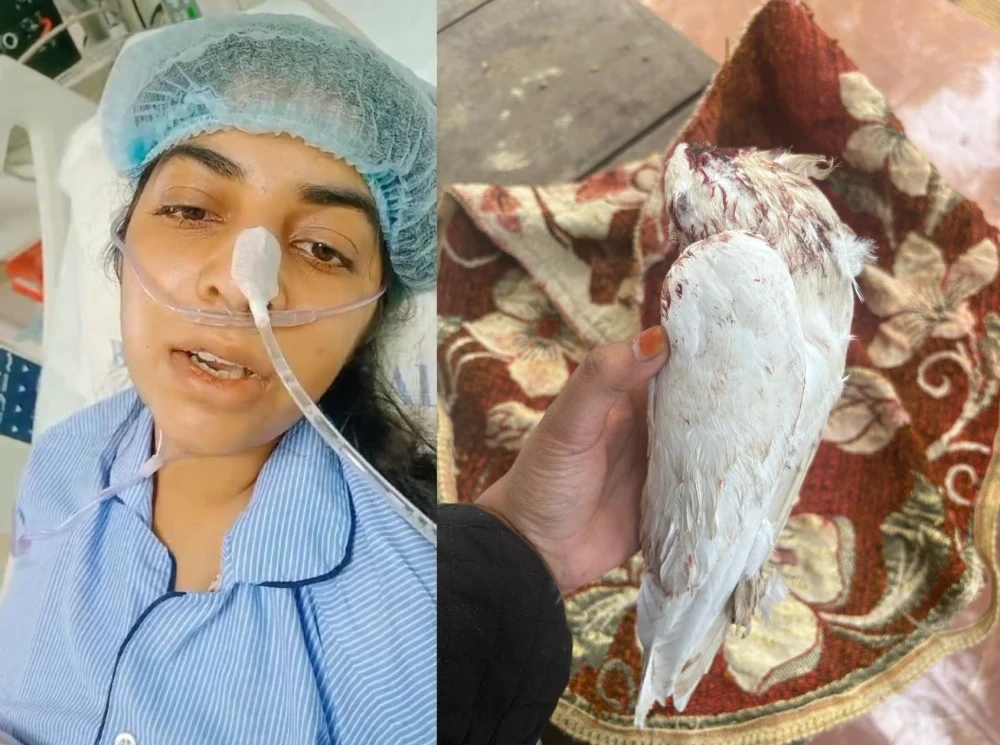 बैरसिया शहर में बीबीए तृतीय वर्ष की छात्रा अदीबा को घर की छत पर कपड़े उठाते वक्त एयर गन की गोली लगने से जख्मी हो गई। ऑपरेशन के बाद उसकी हालत खतरे से बाहर है।