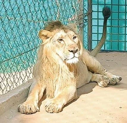 वन विहार