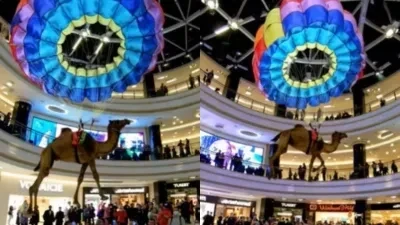 Camel flying with parachute enters shopping mall viral video