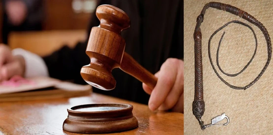 Neighbor caught two youths doing something like this! Court sentenced them to 85 lashes