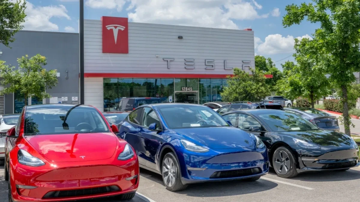 Tesla in India