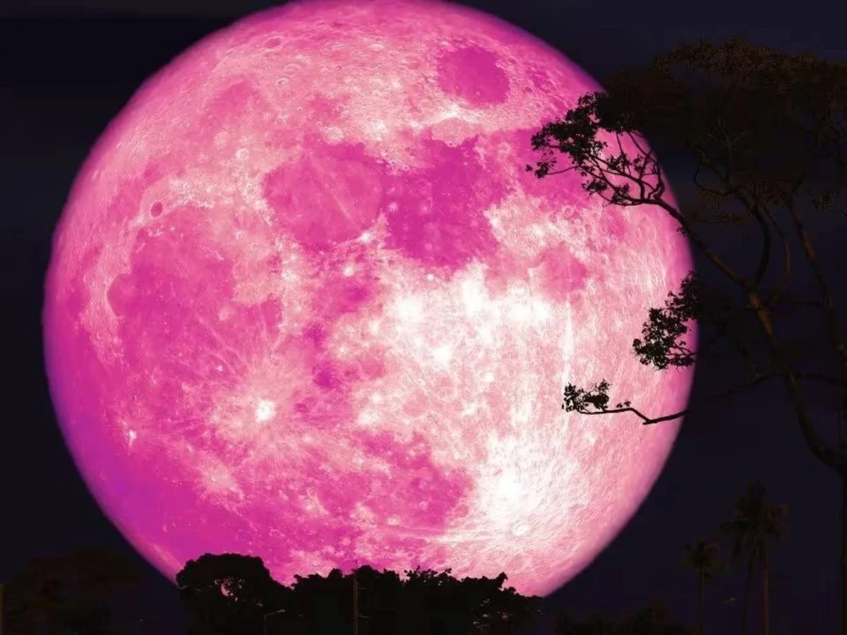 Pink Moon: इस सप्ताह के अंत में आसमान में एक अनोखी खगोलीय घटना देखने को मिलेगी। यह खगोलीय घटना रविवार 13 अप्रैल की सुबह लगभग 5:00 बजे देखी जा सकेगी। देशभर के लोग इसे अपने घरों, छतों और बालकनियों से