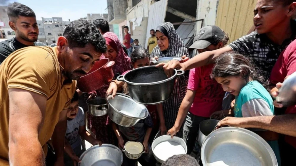 Havoc of Starvation
