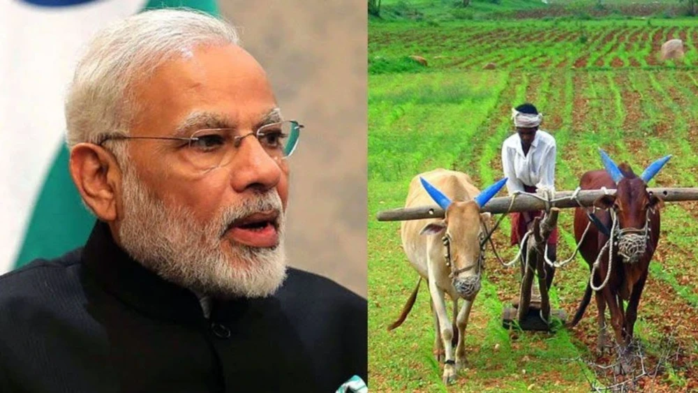Modi cabinet