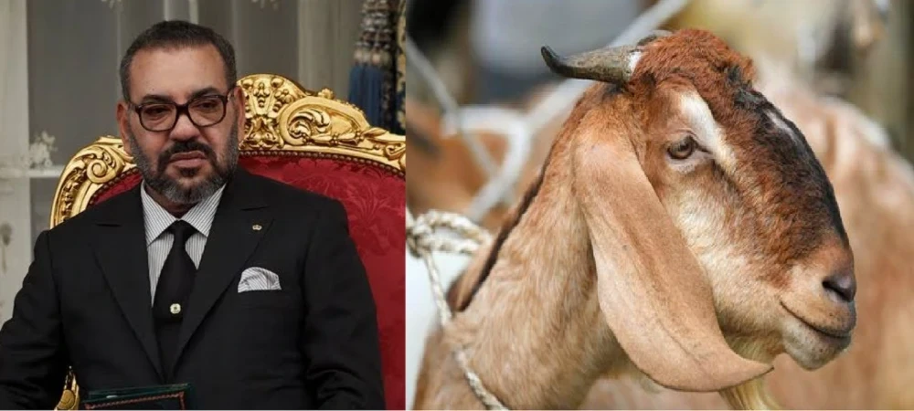 Sacrifice Ban on Bakrid