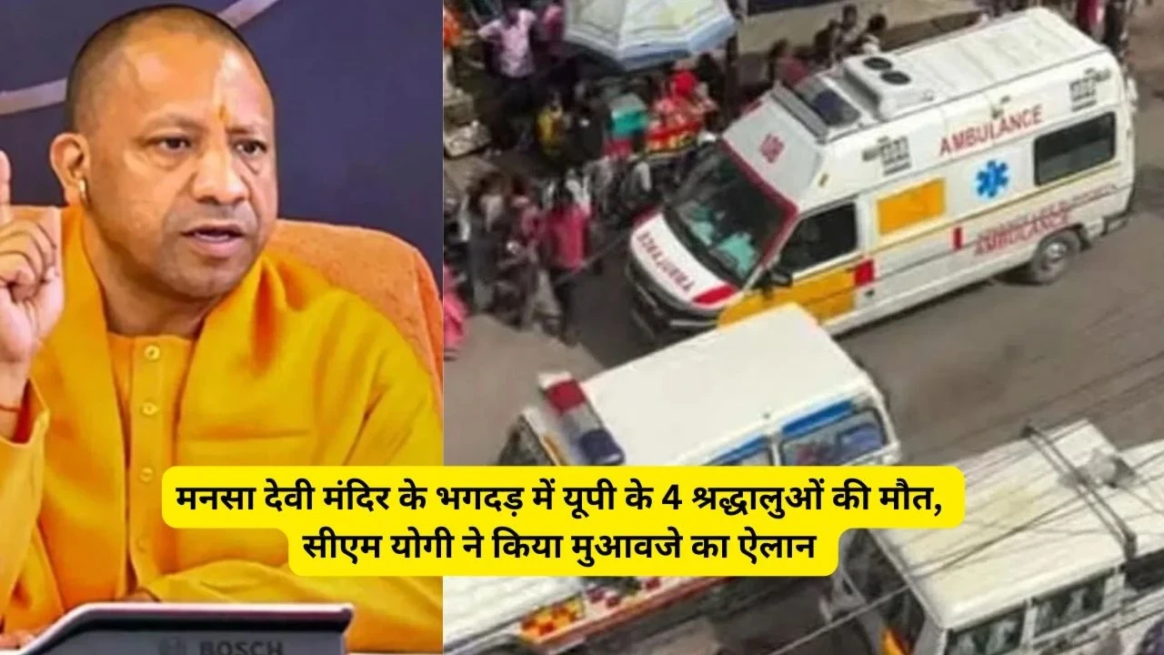 UP News