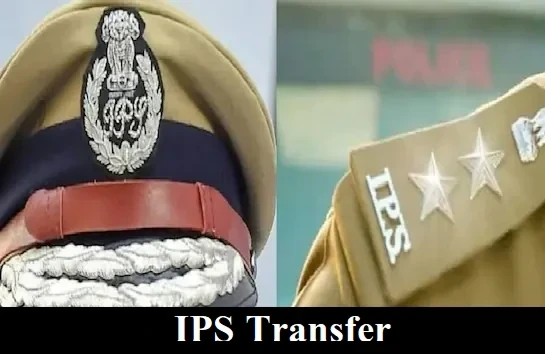 MP IPS Transfer