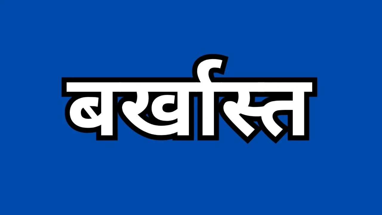 MP News