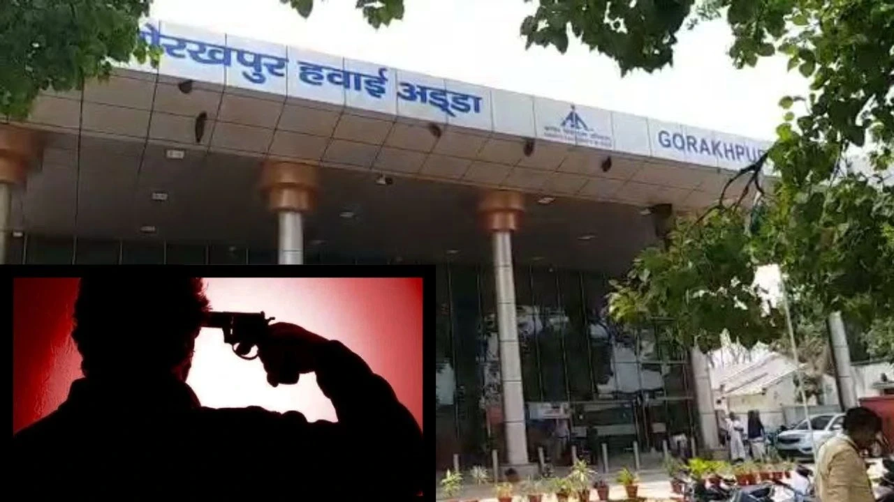 UP News