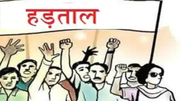 MP News