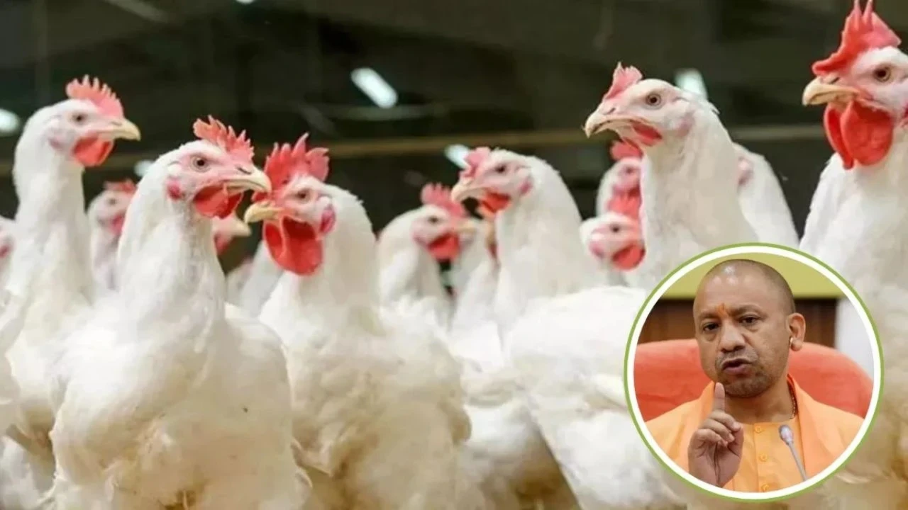 सीएम योगी द्वारा यूपी में बर्ड फ्लू अलर्ट के लिए चिड़ियाघर और पोल्ट्री फार्म की निगरानी के निर्देश।