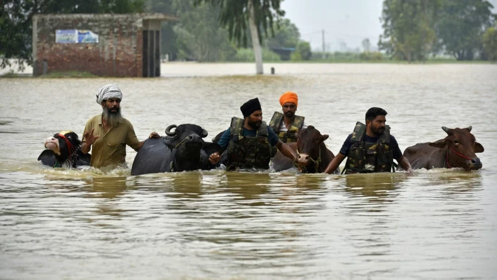Floods in Punjab