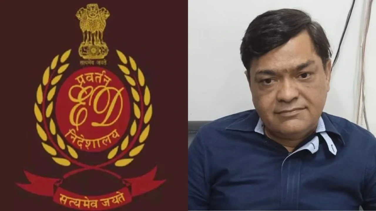 UP News
