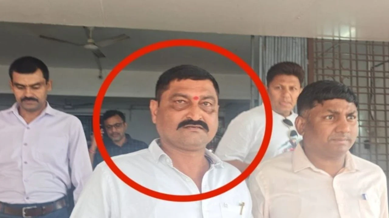 MP News