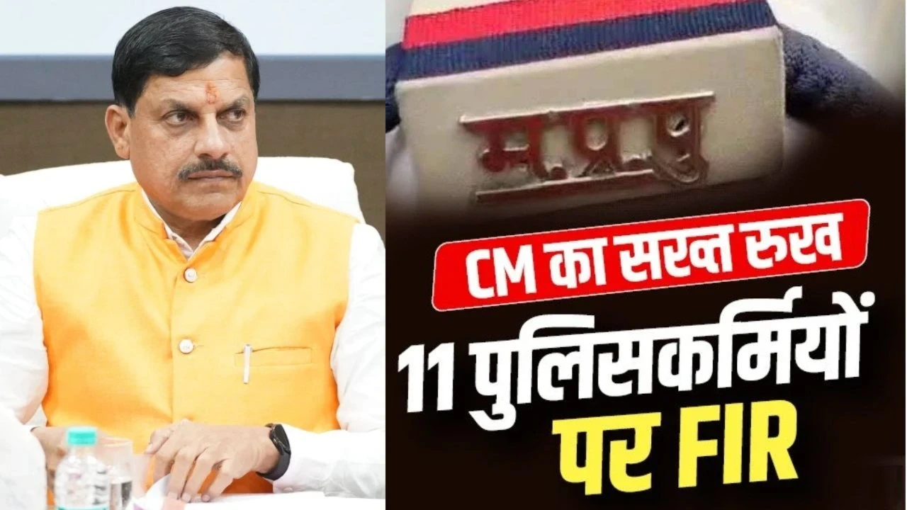 MP News