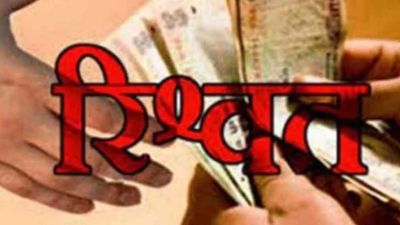 UP News