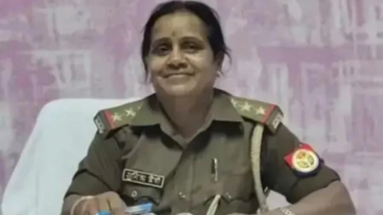 UP News