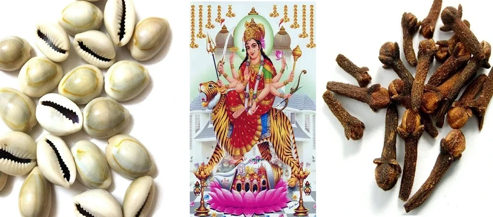 Navratri Wealth Tips