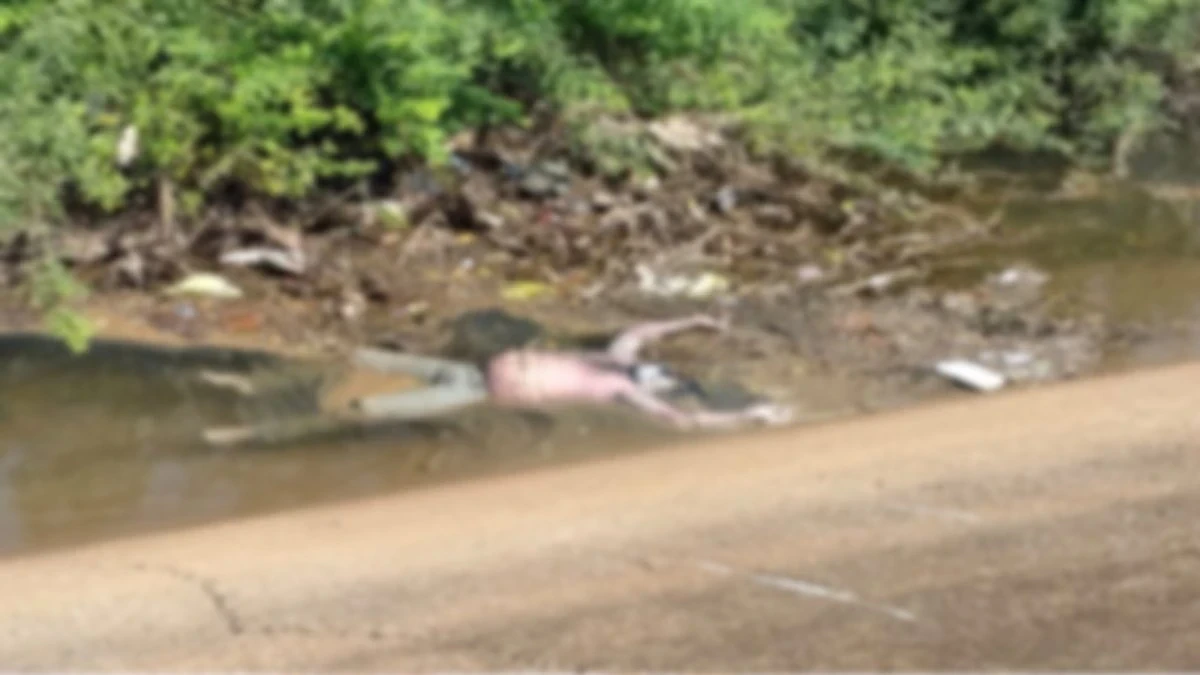 CG News