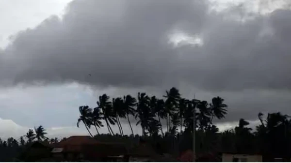 CG Weather News