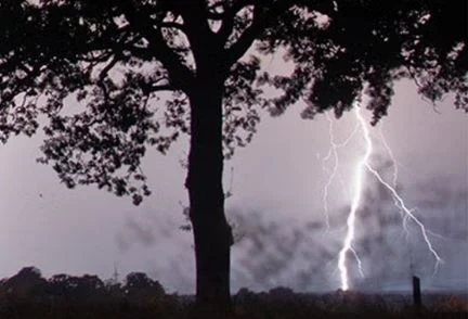 Chhattisgarh, Raipur, Chhattisgarh Rain, Bastar; Monsoon Arrives,CG News, 3 dead by lightning, Kanker