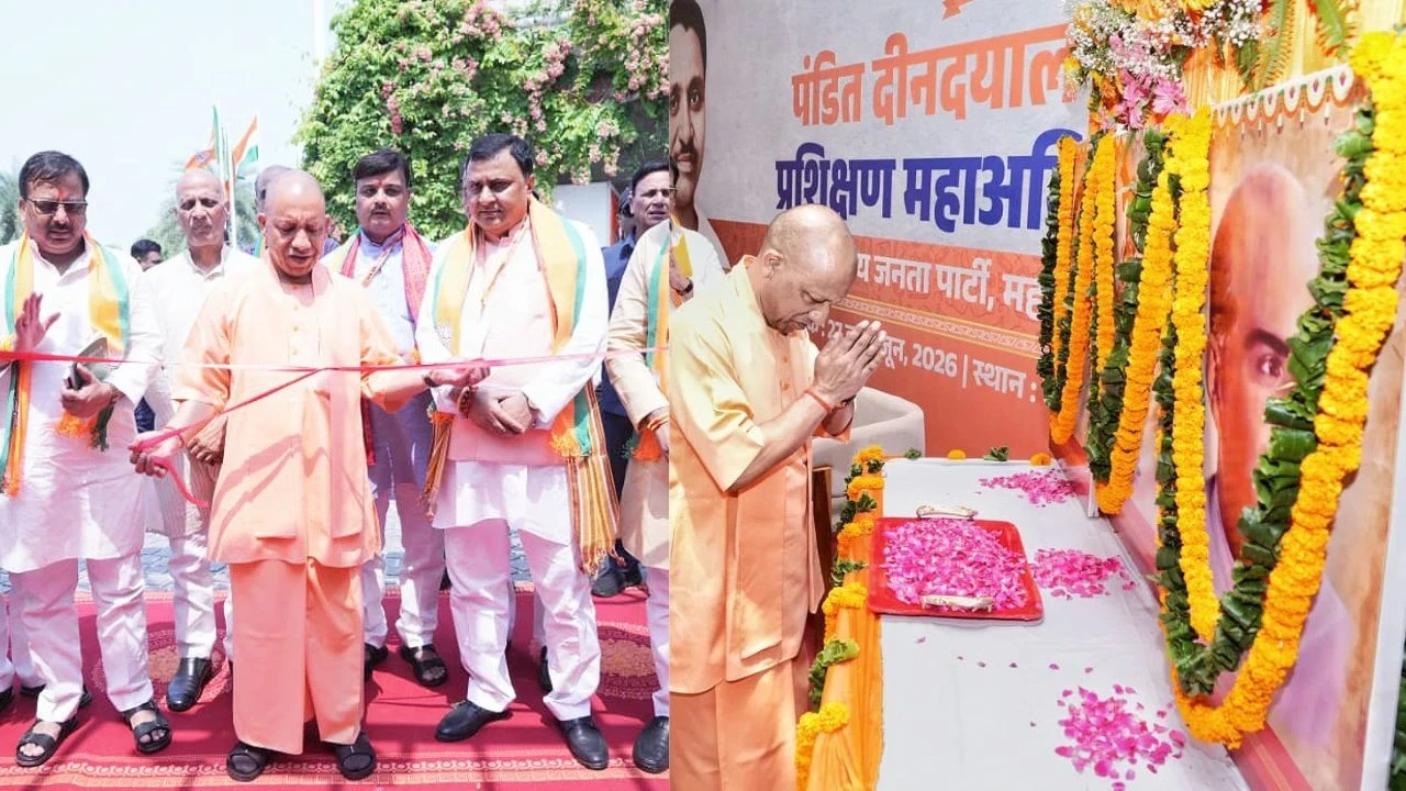 UP News