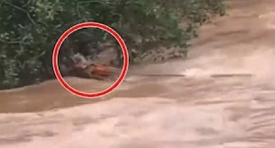 Kerala News: