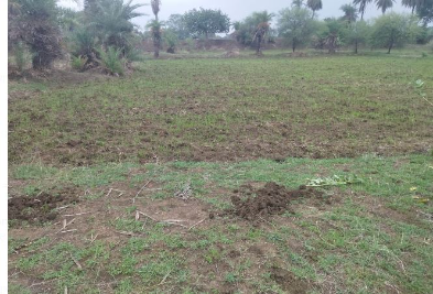CG News, Mandir Hasaud, Land fraud game, changed the account holder, settlement error, Raipur, Chhattisgarh, Nava Raipur