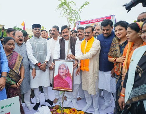 MP News