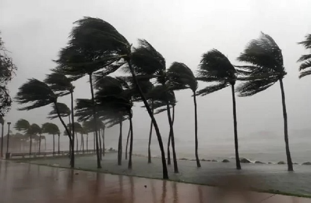 CG Rain: