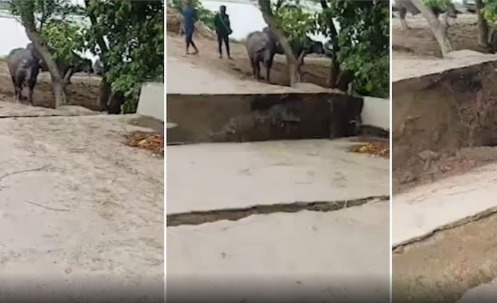 Bridge built on Kosi river washed away: बिहार में अब एक और पुल ने जल समाधि ले ली। सहरसा के महिषी प्रखंड अंतर्गत कुंदह पंचायत स्थित प्राणपुर एनएच-17 से बलिया-सिमर जाने वाली सड़क पर बना पुल
