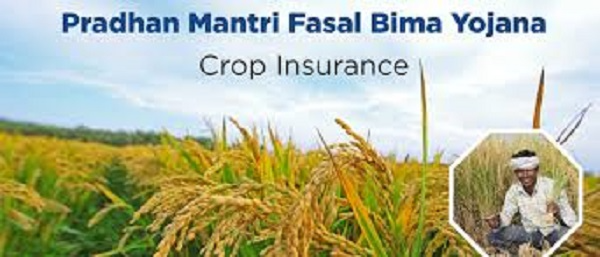 PM Crop Insurance Scheme